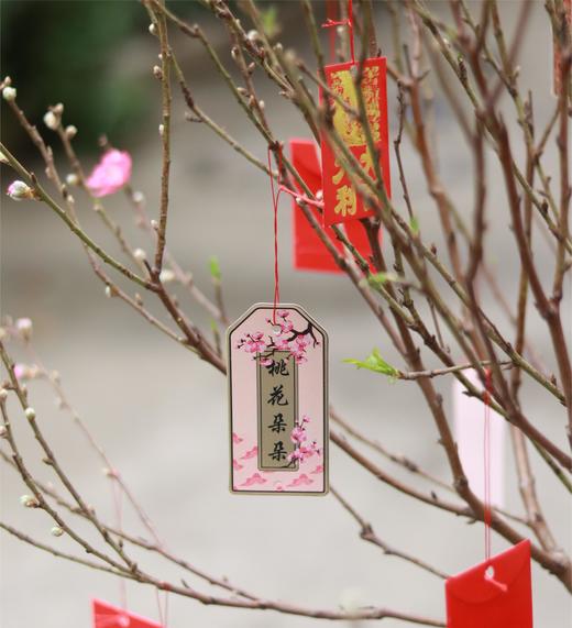 年宵花桃树盆栽 商品图1