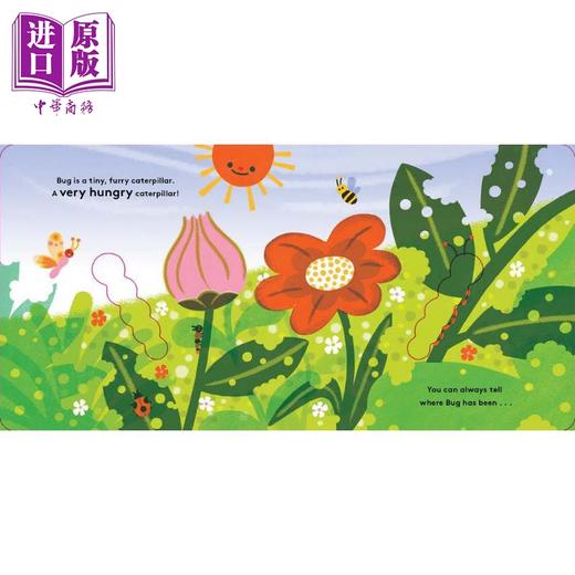 【中商原版】生命周期 虫子 Little Life Cycles Bug 英文原版 儿童纸板科普绘本亲子读物 自然科学纸板书图画书 童书1-3岁 商品图1