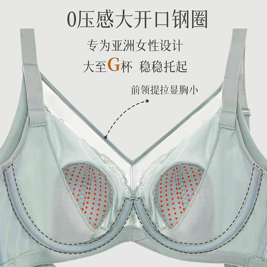 贝佳人舒适全罩水晶杯文胸BW932412 商品图3