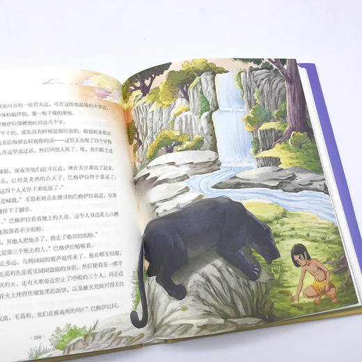 丛林历险记 美绘典藏版 商品图1
