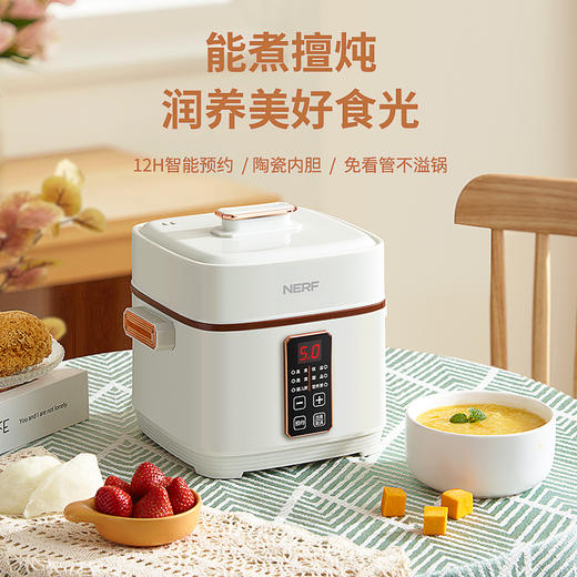 【NERF 拉尔弗电器】电炖盅-BE-D820 商品图0