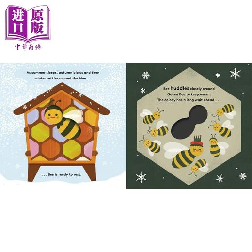 【中商原版】生命周期 蜜蜂 Little Life Cycles Bee 英文原版 儿童纸板科普绘本亲子读物 自然科学纸板书图画书 童书1-3岁 商品图3