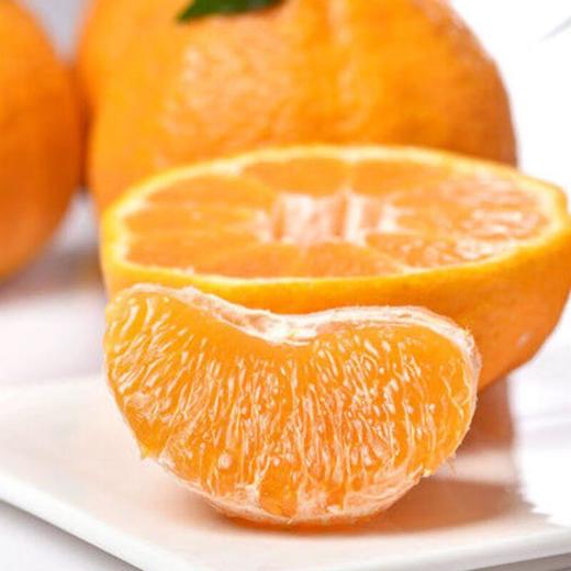 甘平柑4粒 约1kg/份 商品图4