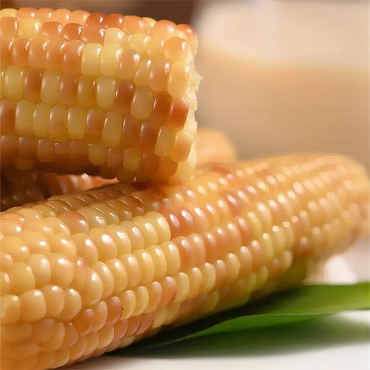 【云南】花糯玉米/拇指玉米·云南老品种 非转基因·香糯甜无麸质|云南伴手礼 商品图3