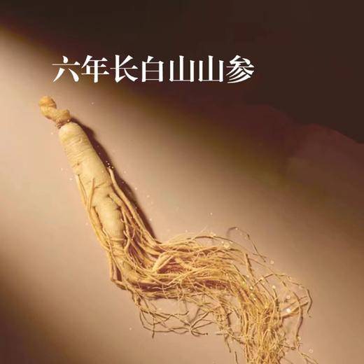 【长白山6年鲜人参】纯天然原生态 无农残 参中上品 商品图1