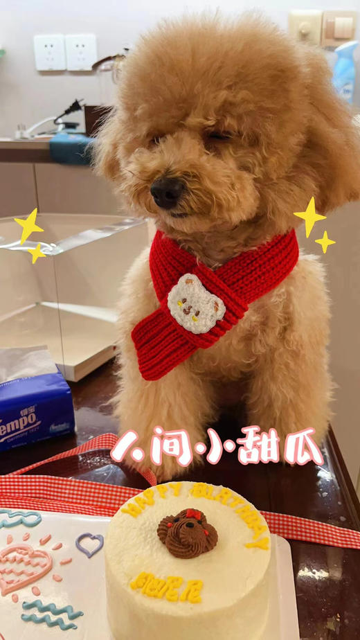 宠物蛋糕｜含一个宝贝头像 商品图0