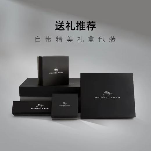 Michael Aram 石榴6格点心盘 手工定制餐桌宴席摆盘水果盘调料盘 商品图4