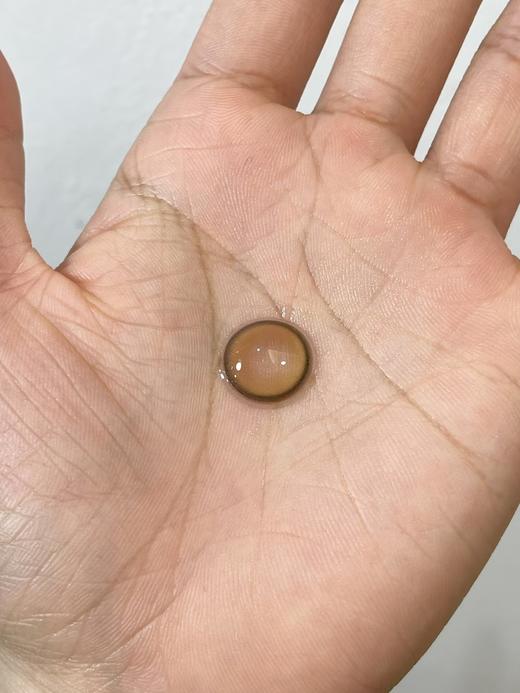 Laseecon旗下 · 小灯泡·  14.2mm白狮参考着色中大直径  韩产年抛 2片 商品图1