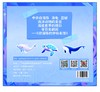 “中华白海豚和它的朋友们”组合冰箱贴 商品缩略图1