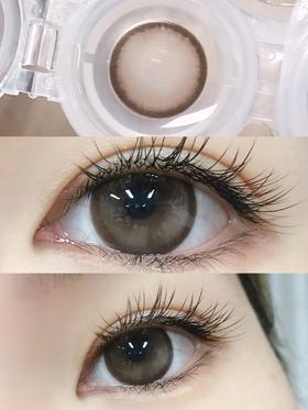 MAX Brown 奶油板栗【年抛】