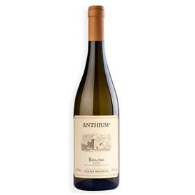 百合酒庄贝朗尼白葡萄酒 Casale del Giglio Anthium Bellone Lazio Bianco lGT