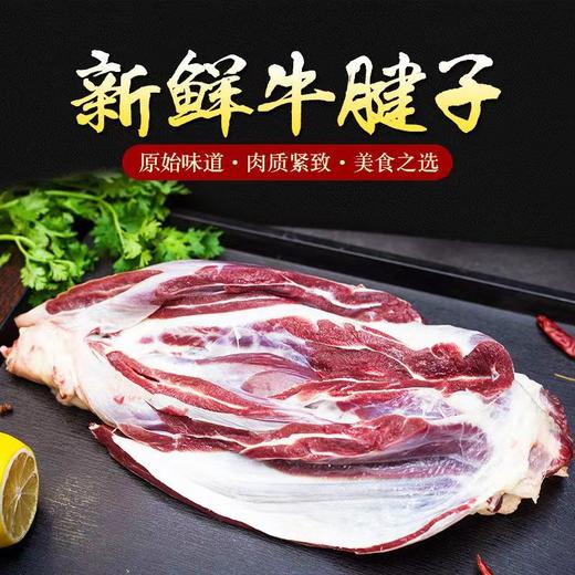 【泾川馆-艺果优品】现宰新鲜甘肃散养黄牛肉牛腱子肉5斤包邮 商品图3