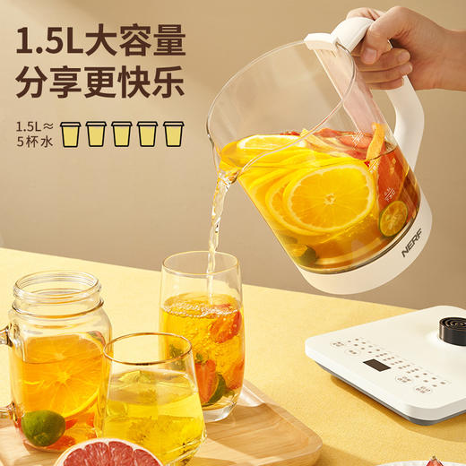 【NERF 拉尔弗电器】养生壶-AM-Y01 商品图1