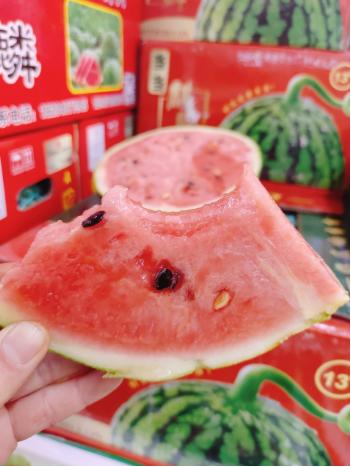 4粒海南麒麟西瓜一箱 商品图6
