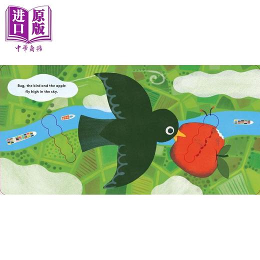 【中商原版】生命周期 虫子 Little Life Cycles Bug 英文原版 儿童纸板科普绘本亲子读物 自然科学纸板书图画书 童书1-3岁 商品图2