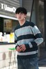 W343943192条纹套头针织衫 商品缩略图10