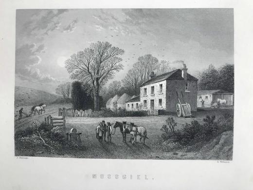 约19世纪后期 彭斯作品集（卷1） 数十幅版画插图 真皮精装16开 商品图12