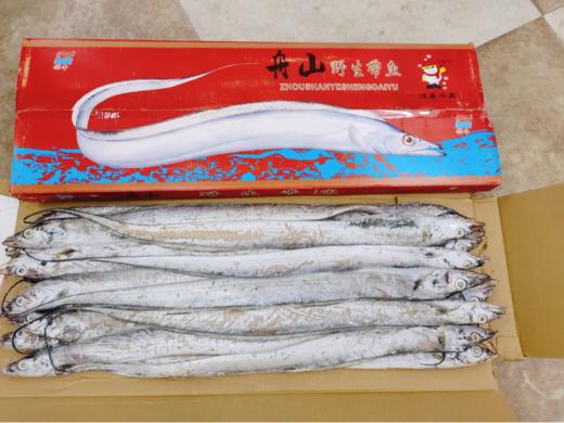 红箱舟山刀鱼一箱 商品图0