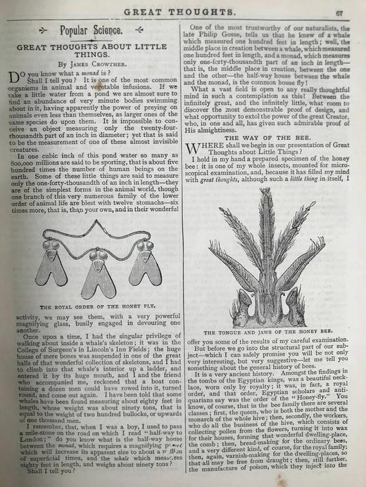 1893年 大师的伟大思想 约百幅插图 漆布精装16开 商品图14