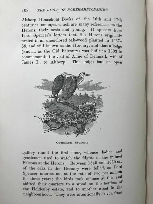 1895年 北安普敦郡与近郊鸟类札记（卷2） 20幅插图 漆布精装16开 商品图14
