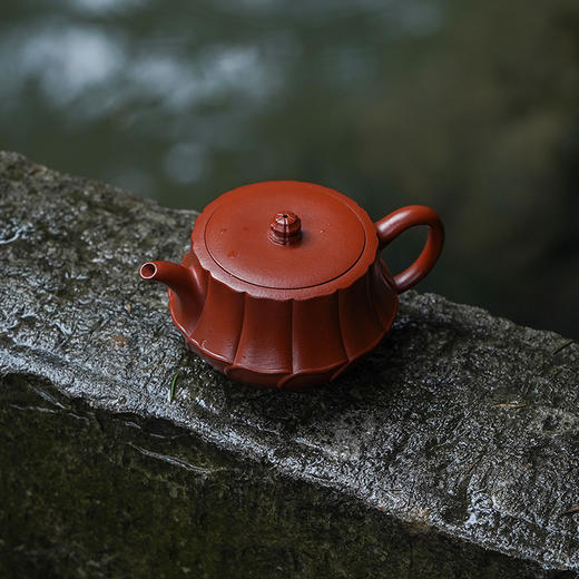 龙德堂陶艺 汤宣武制《金葵花》原矿大红袍 210cc 库存请咨询客服 商品图2