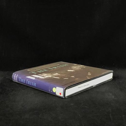 爱尔兰人摄影史，1840-1940年 271幅插图 精装16开 商品图1
