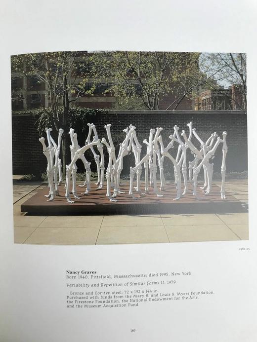 阿克伦艺术博物馆藏品图集 100幅插图 精装大16开 商品图7