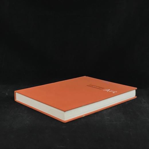 阿克伦艺术博物馆藏品图集 100幅插图 精装大16开 商品图1