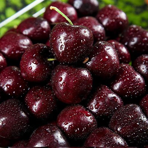 智利车厘子3J约10斤装 商品图5