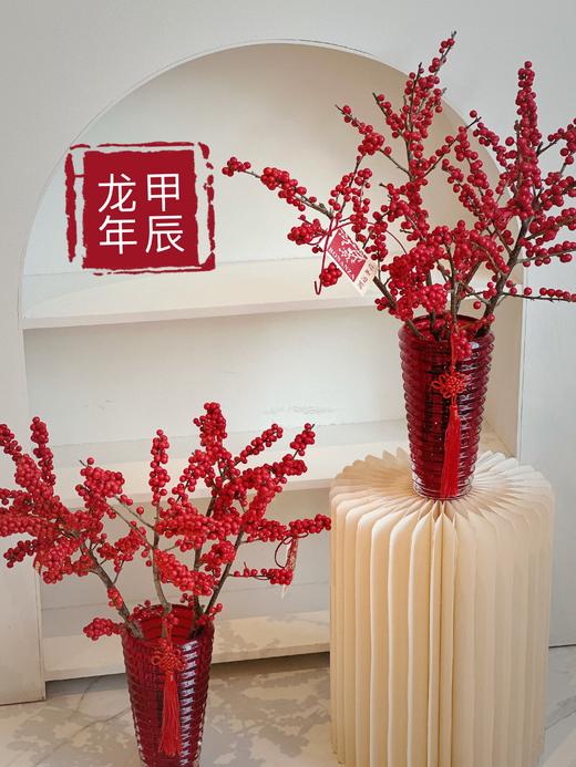 鸿运冬青 · 年宵瓶花 商品图0
