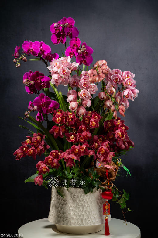 24GL02010 商品图0