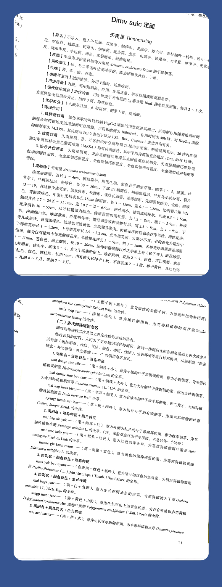 教材06_05.jpg