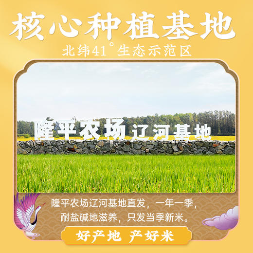 袁谷隆平芯米东北晶米5kg珍珠米大米蟹田梗米盘锦大米10斤优质新米 商品图3