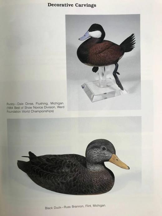 野生动物木雕指南 约200幅插图 精装16开 商品图6