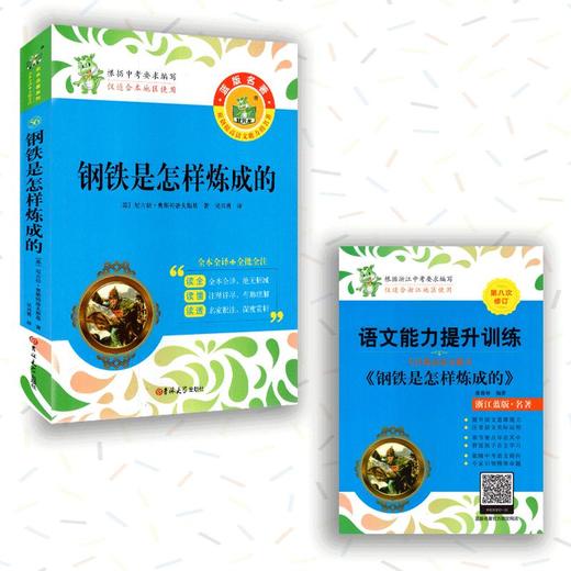 【八年级下册名著】统编教材状元龙版名著必读和选读篇平凡的世界经典常谈钢铁是怎样炼成的苏菲的世界给青年的十二封信名人传 商品图7