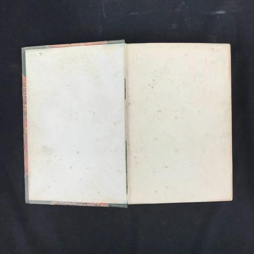 约19世纪后期 乡村生活（卷2） 数十幅版画插图 真皮精装16开 商品图2