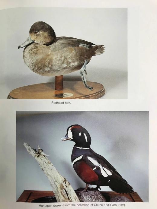 野生动物木雕指南 约200幅插图 精装16开 商品图8