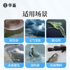 【社群专享】华畜应激宝500g抗应激促生长保苗抗氧化 商品缩略图4
