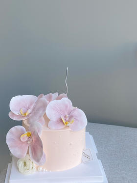 「女士」粉色蝴蝶兰ins 4寸 蝴蝶兰是假花