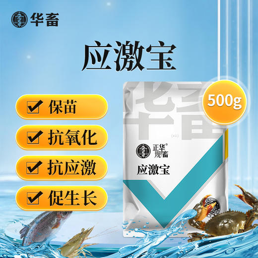【社群专享】华畜应激宝500g抗应激促生长保苗抗氧化 商品图0