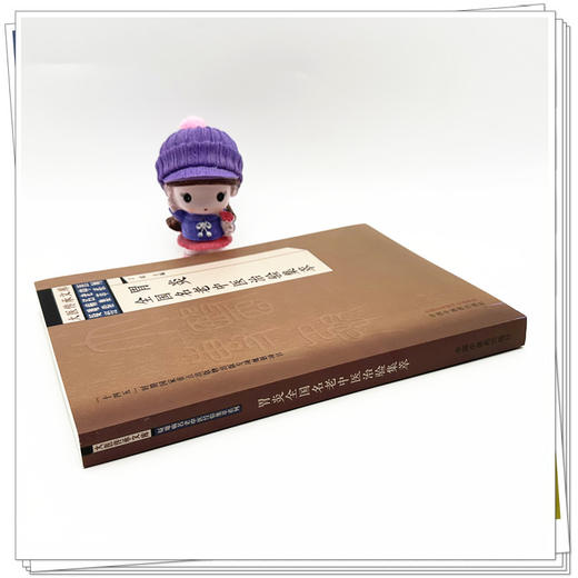 胃炎全国名老中医治验集萃 丁霞 主编 中国中医药出版社 大医传承文库 疑难病名老中医经验集萃系列 商品图2