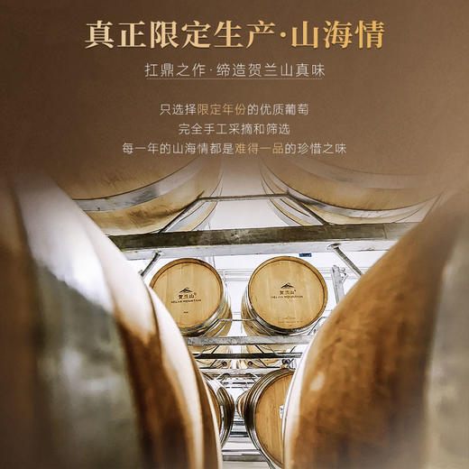 【胡润百富50强酒庄】贺兰山·山海情系列·情干红葡萄酒 宁夏贺兰山东麓产区 14.8%vol 商品图7