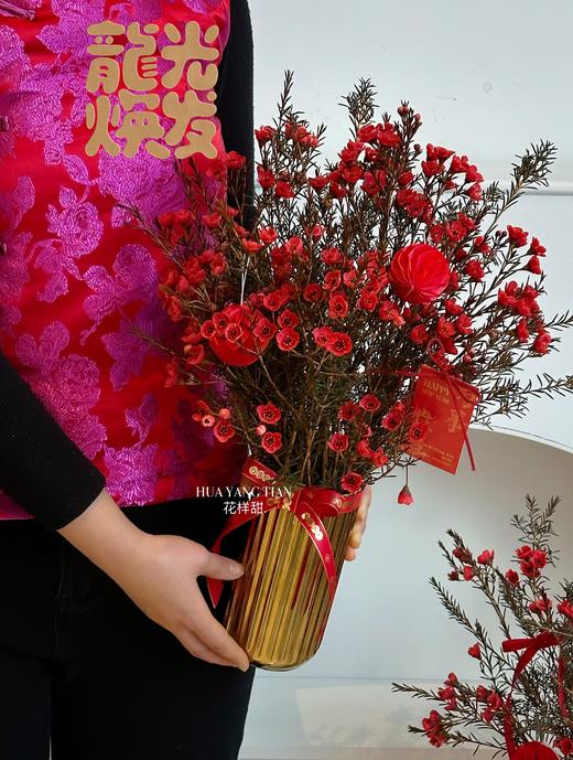 新年旺运  金喜新年  含花瓶 商品图2