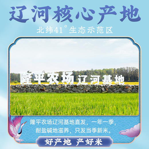 袁谷隆平芯米辽河基地东北盘锦蟹田优质大米5kg珍珠米粥米粳米10斤 商品图3