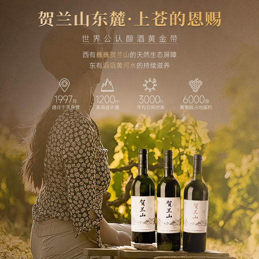 【胡润百富50强酒庄】贺兰山·山海情系列·情干红葡萄酒 宁夏贺兰山东麓产区 14.8%vol 商品图5