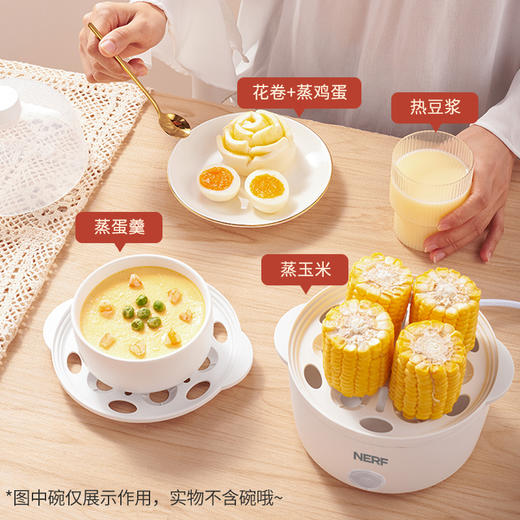 【NERF 拉尔弗电器】煮蛋器-PA-613 商品图1