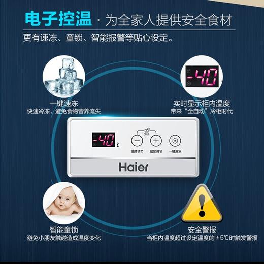 海尔（Haier）冰柜商用大容量429升 超低温冷藏冷冻雪柜 深冷速冻智能控温冷柜BC/BD-429HEM 商品图2