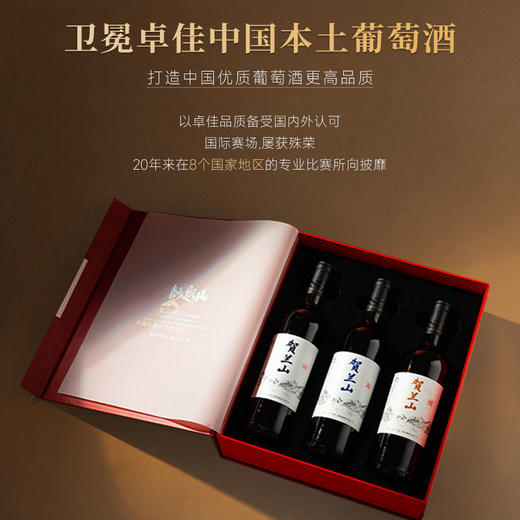 【胡润百富50强酒庄】贺兰山·山海情系列·山干红葡萄酒 宁夏贺兰山东麓产区 14.5%vol 商品图6