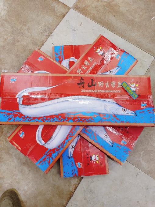 红箱舟山刀鱼一箱 商品图3
