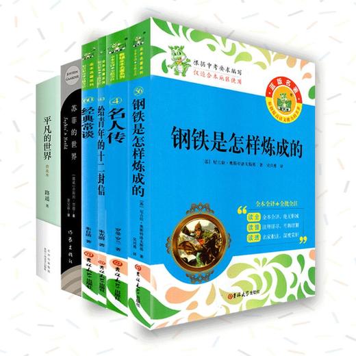 【八年级下册名著】统编教材状元龙版名著必读和选读篇平凡的世界经典常谈钢铁是怎样炼成的苏菲的世界给青年的十二封信名人传 商品图1